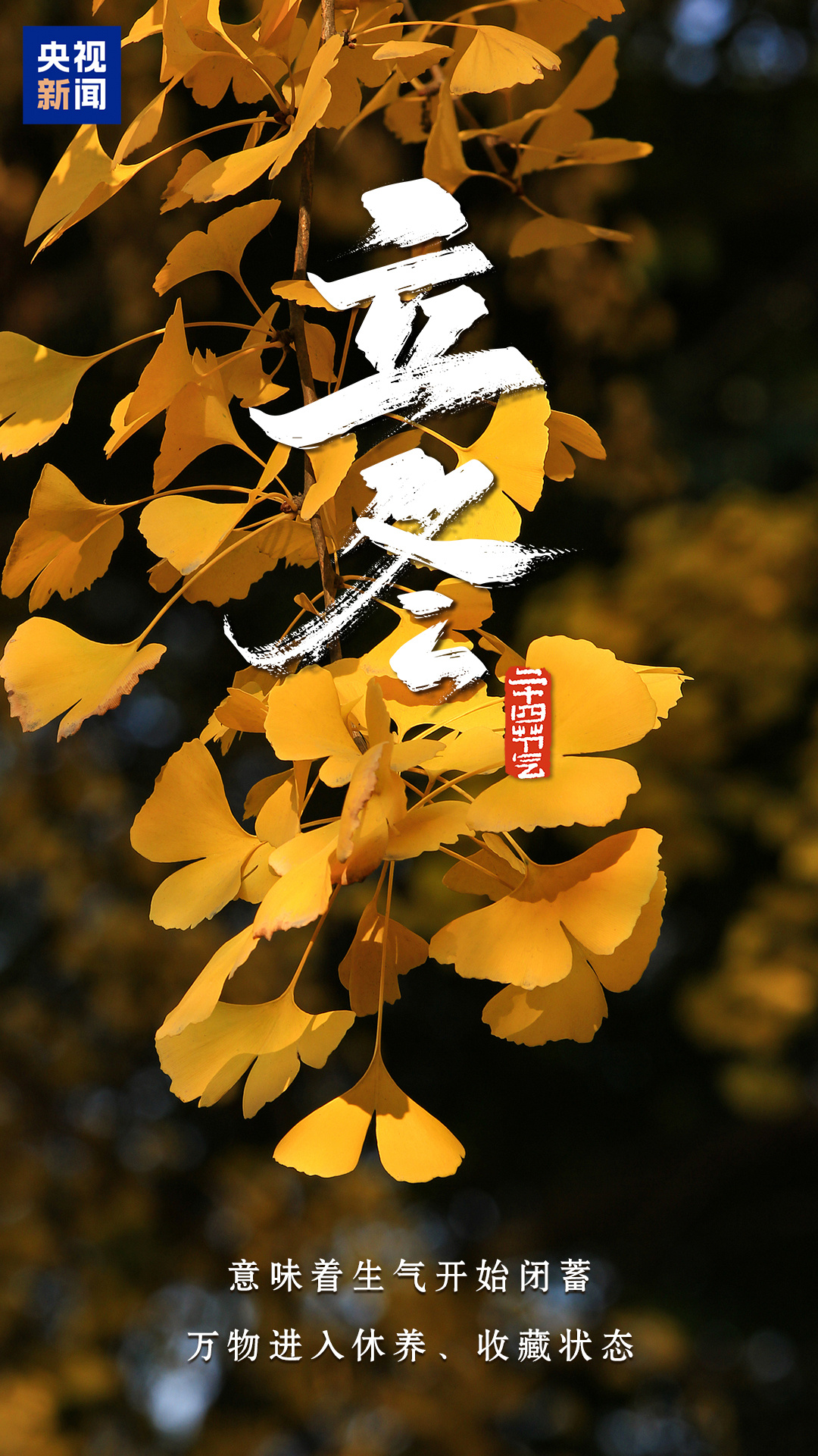 
浙江省人民医院黄牛代挂号电话票贩子号贩子网上预约挂号,住院检查加快,今日立冬，顺祝冬安！