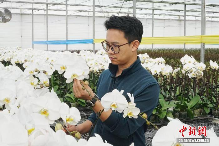 
上海华山医院黄牛代挂号电话票贩子号贩子网上预约挂号,住院检查加快,台青云南创业记：咖啡、鲜花、旅居中的两岸发展协奏曲