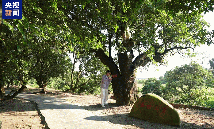 成都华西医院黄牛代挂号电话票贩子号贩子网上预约挂号,住院检查加快,逛一逛动一动,全运来广东!跟着赛事开启一场运动漫游