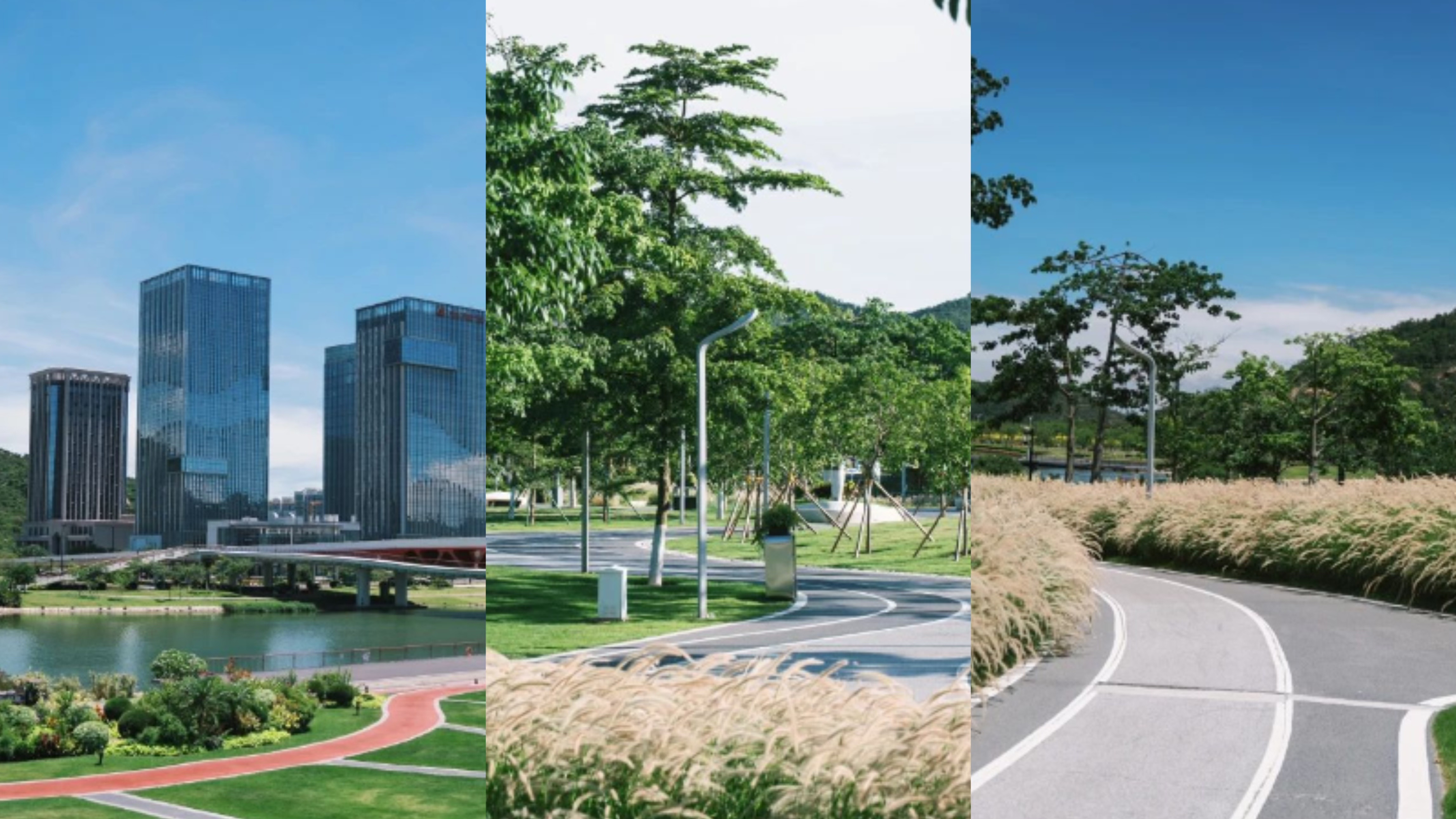 
成都华西医院黄牛代挂号电话票贩子号贩子网上预约挂号,住院检查加快,逛一逛动一动，全运来广东！跟着赛事开启一场运动漫游