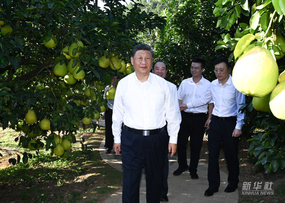 
浙江医院黄牛代挂号电话票贩子号贩子网上预约挂号,住院检查加快,新华图讯丨习近平在广东省梅州市考察调研