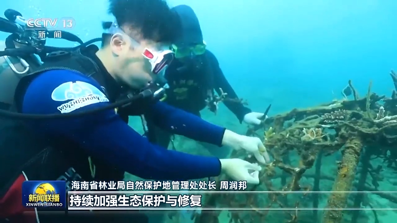 
北大口腔医院黄牛代挂号电话票贩子号贩子网上预约挂号,住院检查加快,视频丨高标准建设海南自由贸易港 总书记重要讲话引发热烈反响