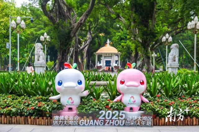 
中山大学肿瘤医院黄牛代挂号电话票贩子号贩子网上预约挂号,住院检查加快,文化中国行·立冬 | 岭南立冬春意同，新梅万朵映晴空