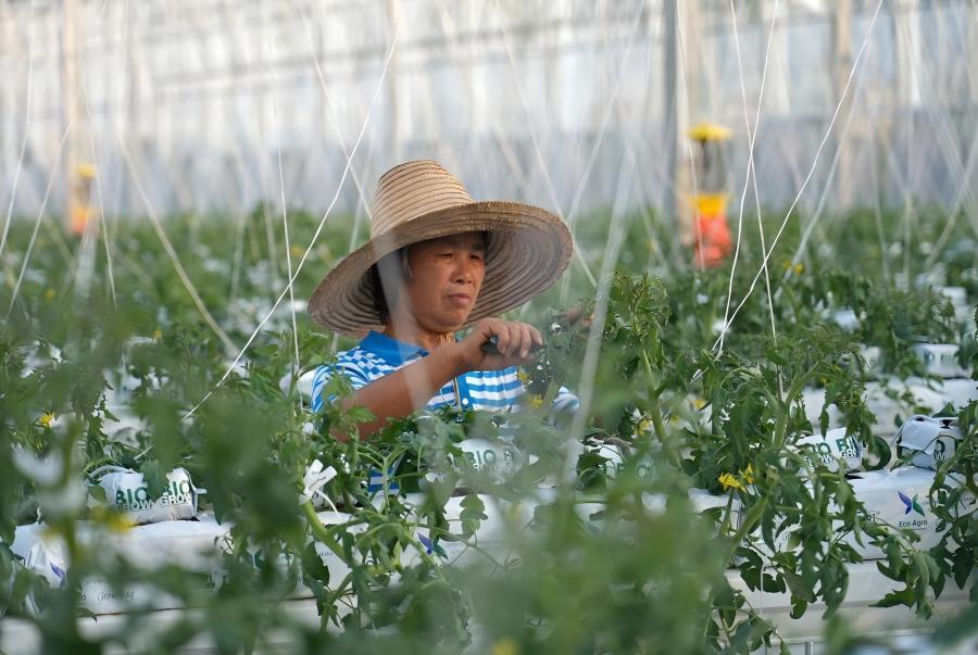 
浙江口腔医院黄牛代挂号电话票贩子号贩子网上预约挂号,住院检查加快,学习进行时｜习近平总书记关心推动老区发展振兴的故事