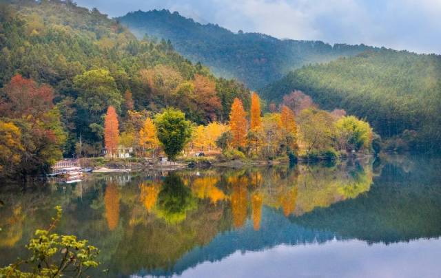 
中山大学肿瘤医院黄牛代挂号电话票贩子号贩子网上预约挂号,住院检查加快,文化中国行·立冬 | 岭南立冬春意同，新梅万朵映晴空