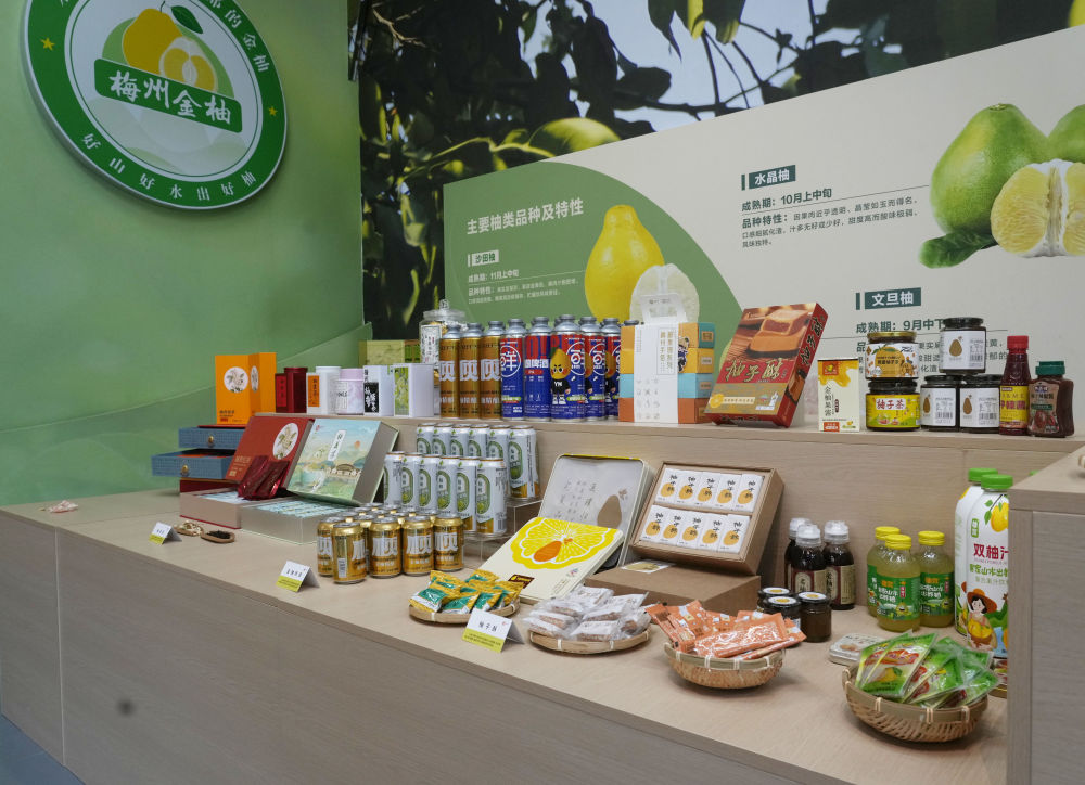 
西安西京医院黄牛代挂号电话票贩子号贩子网上预约挂号,住院检查加快,第1视点｜乡村振兴路 金柚正飘香