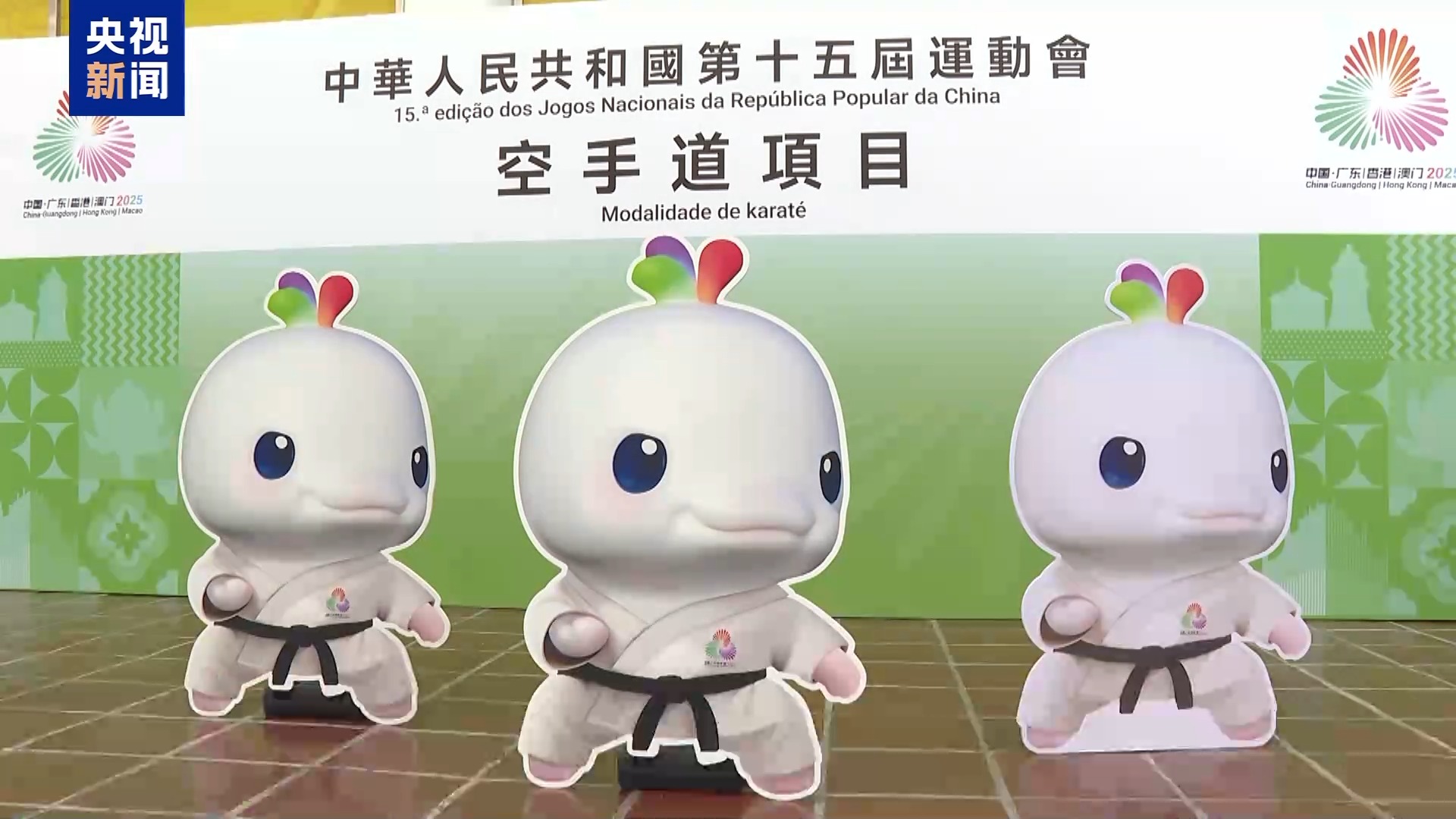 
浙江大学妇产科医院黄牛代挂号电话票贩子号贩子网上预约挂号,住院检查加快,总台记者探访丨十五运会澳门赛区筹备工作全面就绪