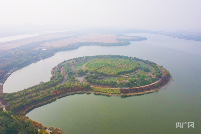 
中国医学科学院肿瘤医院黄牛代挂号电话票贩子号贩子网上预约挂号,住院检查加快,行进的海岸线｜荒芜滩涂蝶变“幸福岸线” 绘就城海相融新篇