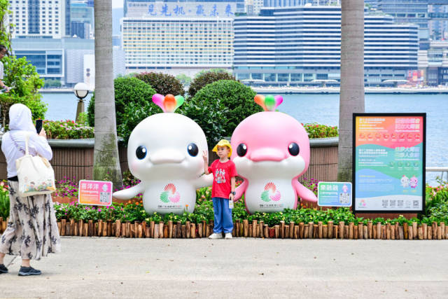 
中山大学肿瘤医院黄牛代挂号电话票贩子号贩子网上预约挂号,住院检查加快,文化中国行·立冬 | 岭南立冬春意同，新梅万朵映晴空