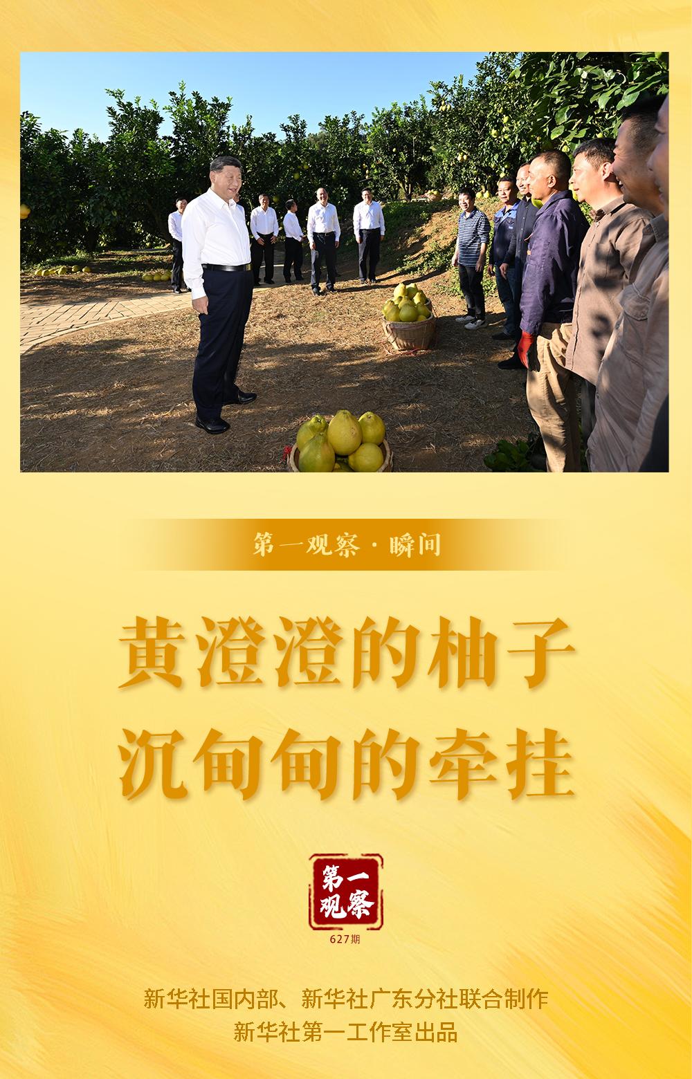 
山东大学齐鲁医院黄牛代挂号电话票贩子号贩子网上预约挂号,住院检查加快,第一观察·瞬间｜黄澄澄的柚子，沉甸甸的牵挂