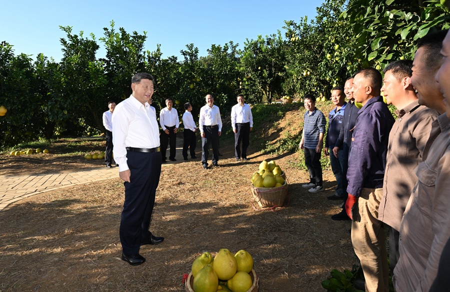 
西安西京医院黄牛代挂号电话票贩子号贩子网上预约挂号,住院检查加快,习近平在广东考察时强调 深入学习宣传贯彻党的二十届四中全会精神 以全面深化改革开放推动高质量发展