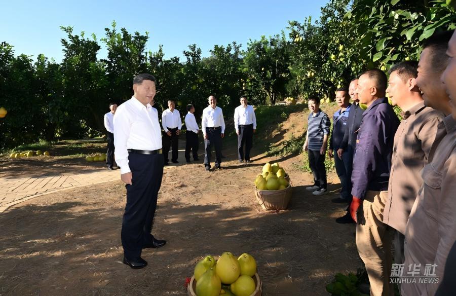 
浙江口腔医院黄牛代挂号电话票贩子号贩子网上预约挂号,住院检查加快,学习进行时｜习近平总书记关心推动老区发展振兴的故事