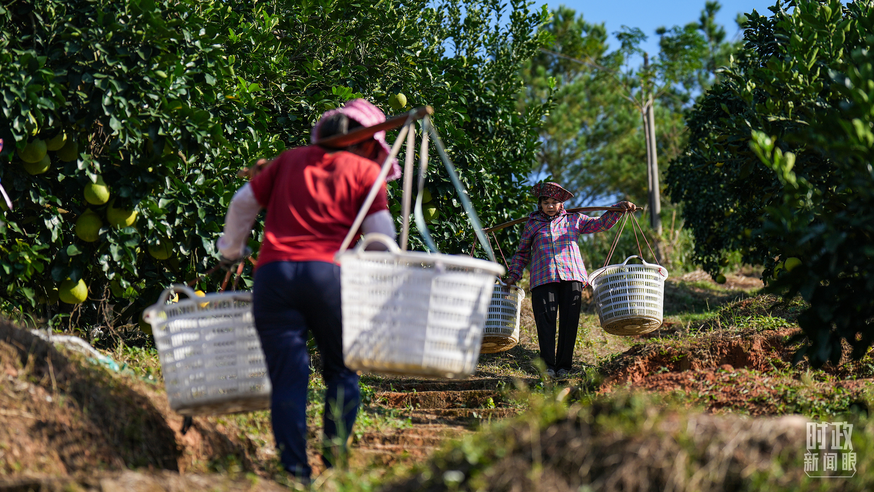 
北京中医药大学东直门医院黄牛代挂号电话票贩子号贩子网上预约挂号,住院检查加快,时政新闻眼丨“十五五”如何走在前、作示范、挑大梁？习近平为广东发展作出战略指引