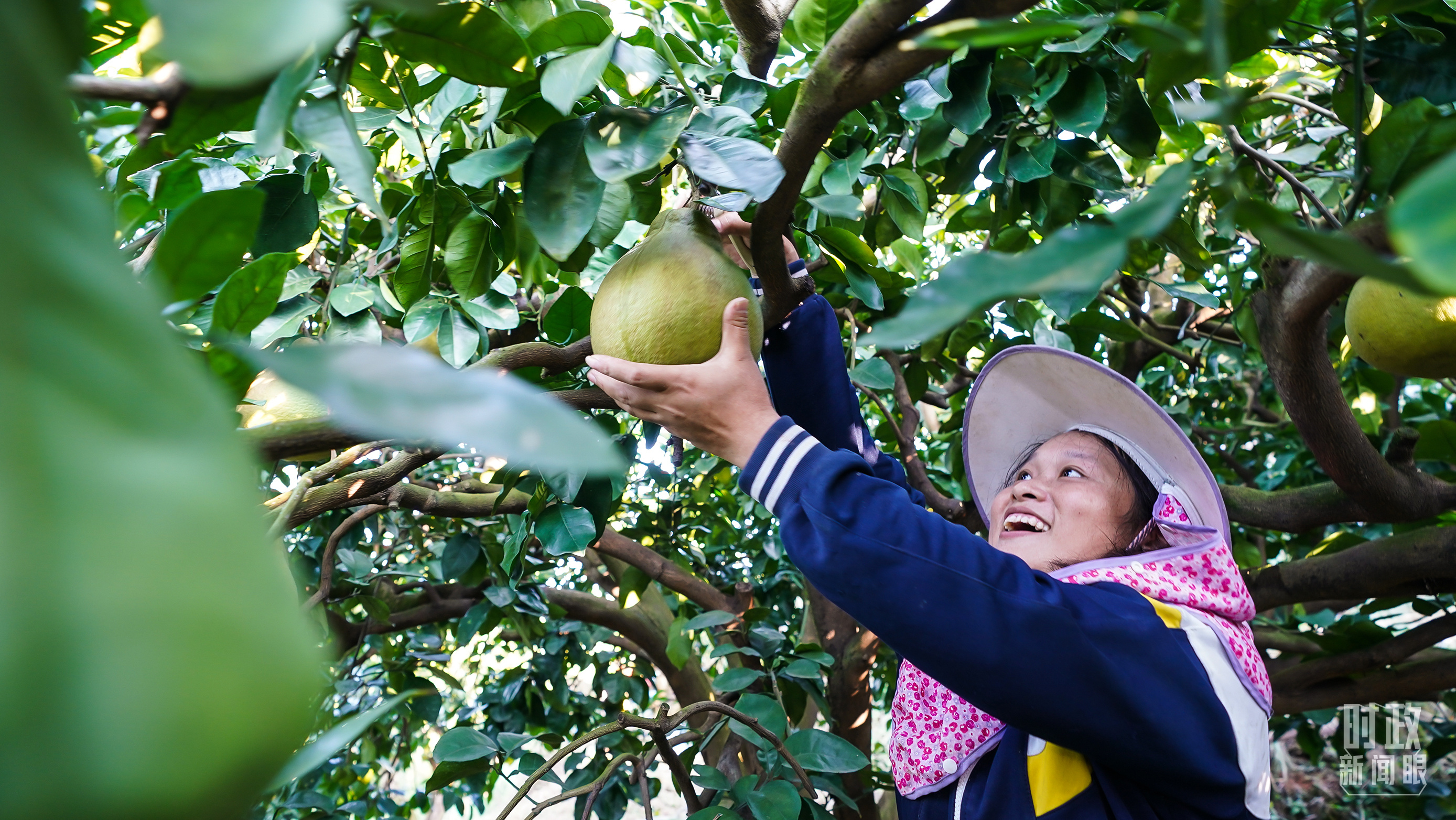 
北京中医药大学东直门医院黄牛代挂号电话票贩子号贩子网上预约挂号,住院检查加快,时政新闻眼丨“十五五”如何走在前、作示范、挑大梁？习近平为广东发展作出战略指引