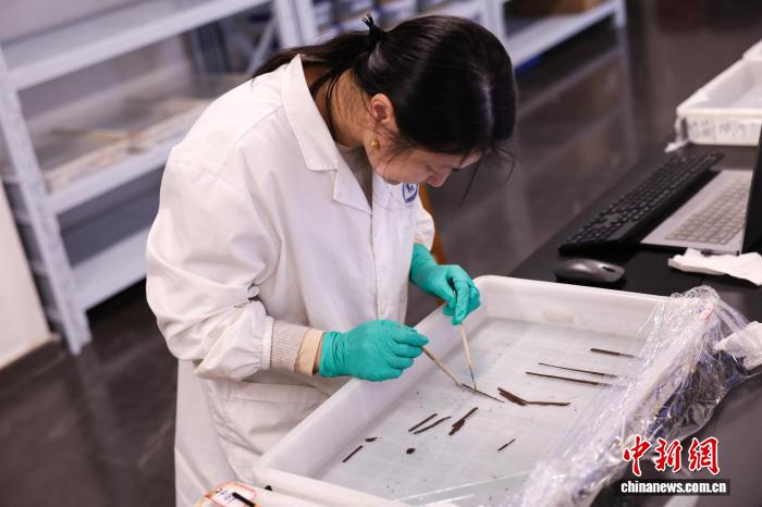 
北京肿瘤医院黄牛代挂号电话票贩子号贩子网上预约挂号,住院检查加快,海昏侯墓考古发掘领队：首次发现秦汉时期全本《诗经》