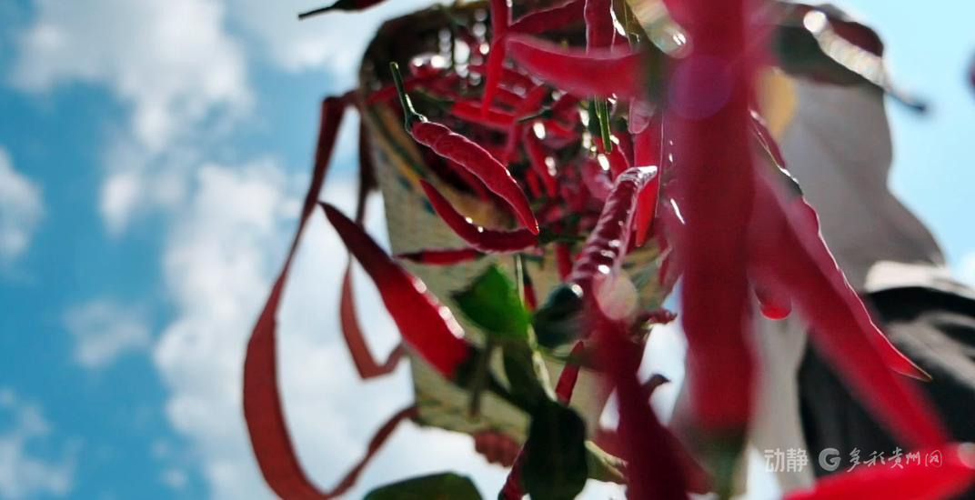 北京协和医院黄牛代挂号电话票贩子号贩子网上预约挂号,住院检查加快,幸福是奋斗出来的