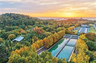 
广东省第二中医院黄牛号贩子票贩子代网上预约代挂号电话服务市民（侨乡新貌）