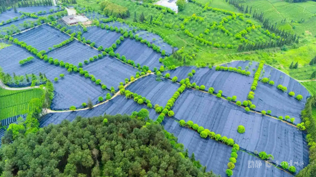 北京协和医院黄牛代挂号电话票贩子号贩子网上预约挂号,住院检查加快,幸福是奋斗出来的