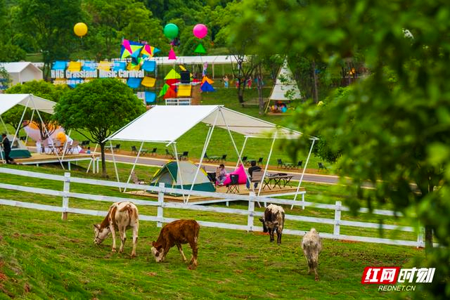
北京中医院黄牛代挂号电话票贩子号贩子网上预约挂号,住院检查加快,“链”上湖南 “湘”创未来丨湘赣边界崛起“三日游”目的地，花湖谷这样把山水变“流量”