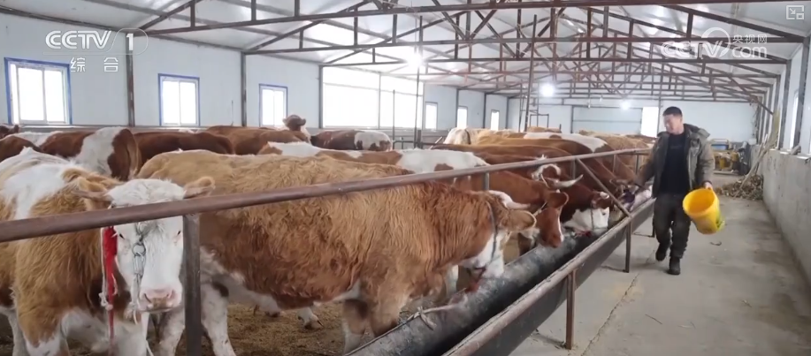 
北京朝阳医院黄牛代挂号电话票贩子号贩子网上预约挂号,住院检查加快,多地气温“滑梯式”下跌 多部门协同细化服务全力保障百姓生产生活