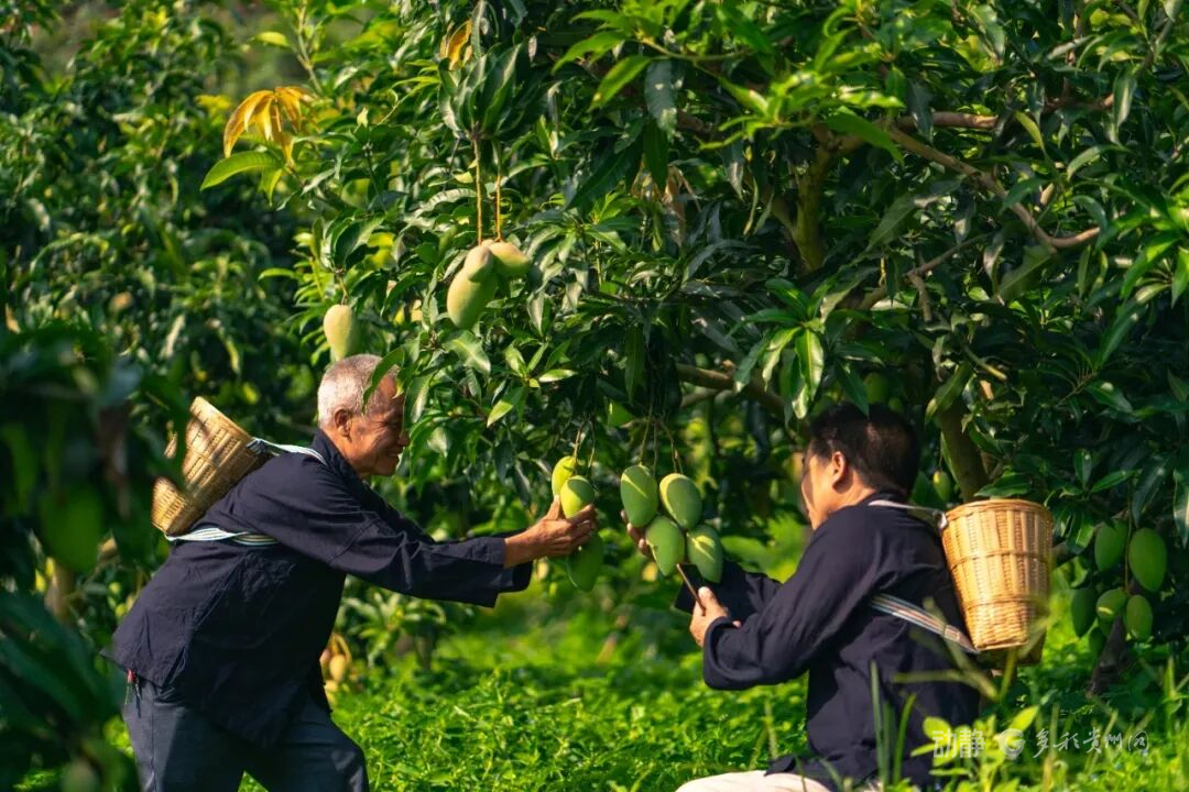 北京协和医院黄牛代挂号电话票贩子号贩子网上预约挂号,住院检查加快,幸福是奋斗出来的