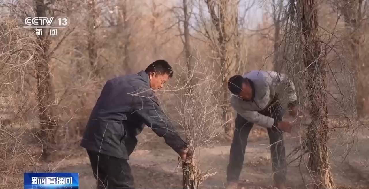 
首都医科大学附属安贞医院黄牛代挂号电话票贩子号贩子网上预约挂号,住院检查加快,视频丨从防沙、固沙到治沙、用沙 看他们如何阻止两大沙漠合拢→