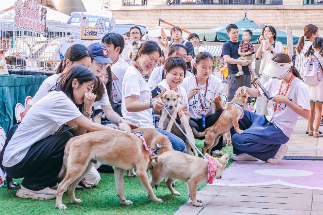 
上海新华医院黄牛代挂号电话票贩子号贩子网上预约挂号,住院检查加快,小城，何以生机勃勃｜闽侯创业记