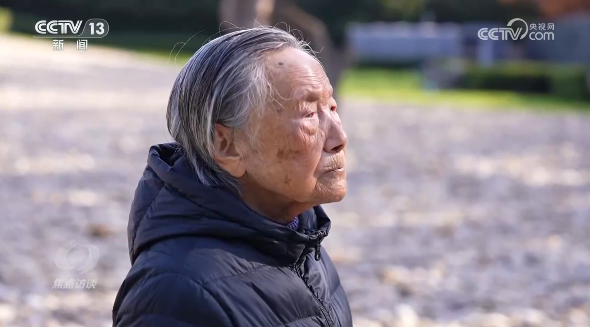 北京朝阳医院黄牛代挂号电话票贩子号贩子网上预约挂号,住院检查加快,焦点访谈|南京大屠杀和731部队罪行再添新证