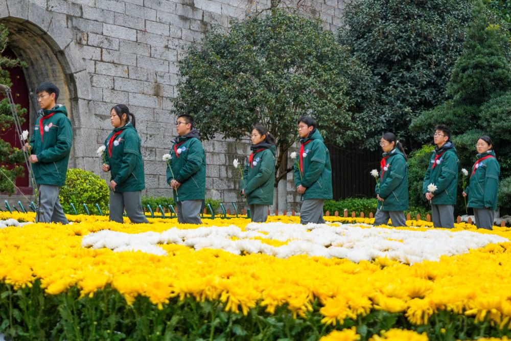 
首都医科院整形外科医院黄牛代挂号电话票贩子号贩子网上预约挂号,住院检查加快,微视频｜南京 城祭