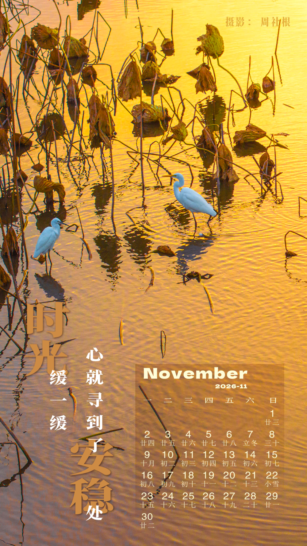 
南京各大医院黄牛代挂号电话票贩子号贩子网上预约挂号,住院检查加快,解锁2026壁纸，承包你一整年的屏保浪漫