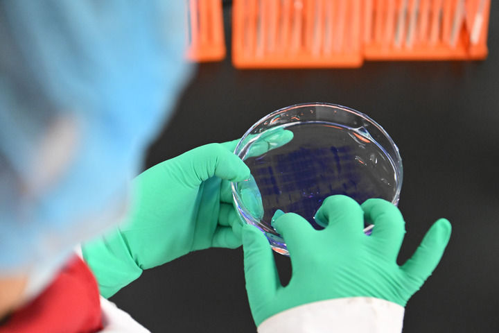 
首都医科大学附属安贞医院黄牛代挂号电话票贩子号贩子网上预约挂号,住院检查加快,锚定新目标 奋力开新局——2025年中央经济工作会议侧记