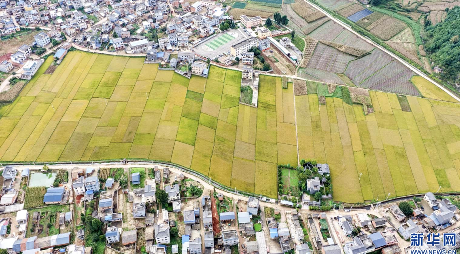 
中国医学科学院肿瘤医院黄牛代挂号电话票贩子号贩子网上预约挂号,住院检查加快,城乡双向奔赴 民生扎根结果