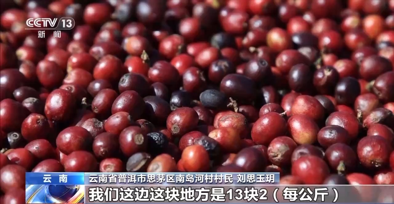 
首都医科大学附属安贞医院黄牛代挂号电话票贩子号贩子网上预约挂号,住院检查加快,用好豆出好咖啡 “混搭”经营 云南“咖啡＋”成消费新时尚