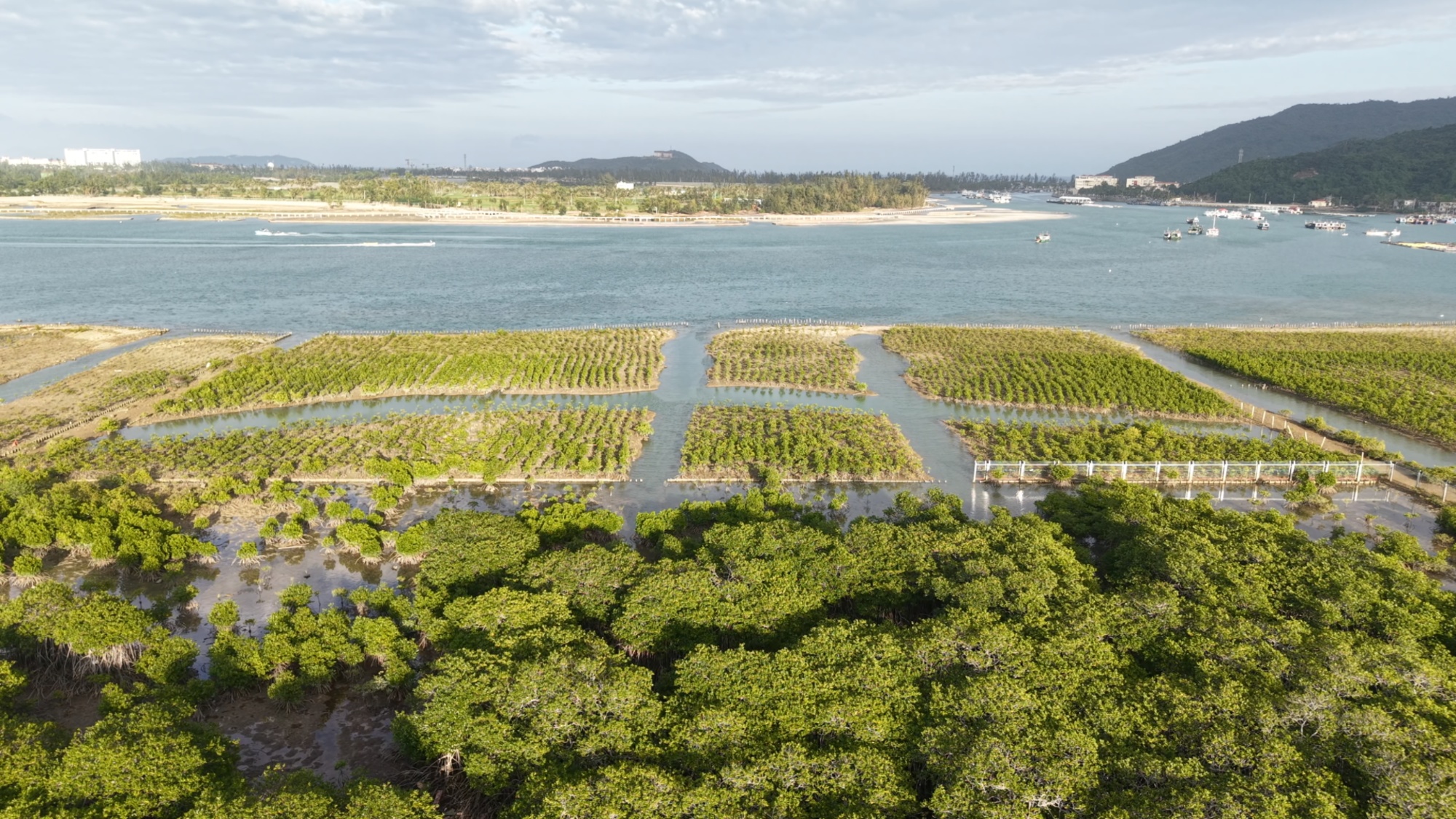 
首都医科大学附属安贞医院黄牛代挂号电话票贩子号贩子网上预约挂号,住院检查加快,行进的海岸线｜国家级美丽海湾优秀案例 15载“海底造林”让三亚海棠焕新