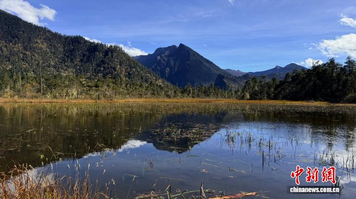 
北京儿童医院黄牛代挂号电话票贩子号贩子网上预约挂号,住院检查加快,珞巴族“阿妈亚夏”：用32年守护大山孩子的求学梦