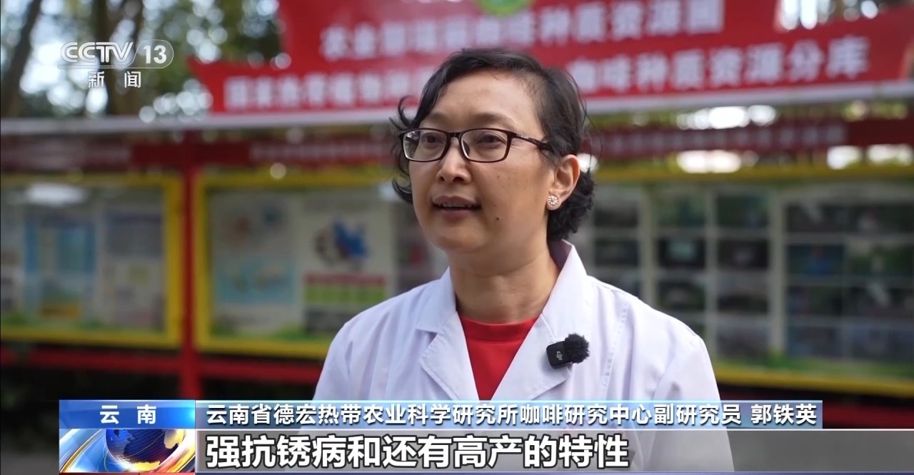 
首都医科大学附属安贞医院黄牛代挂号电话票贩子号贩子网上预约挂号,住院检查加快,用好豆出好咖啡 “混搭”经营 云南“咖啡＋”成消费新时尚