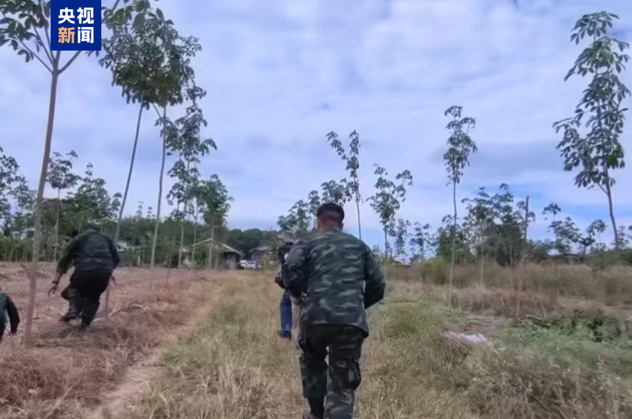 上海肿瘤医院黄牛代挂号电话票贩子号贩子网上预约挂号,住院检查加快,新一轮泰柬边境冲突已致17名泰国士兵死亡