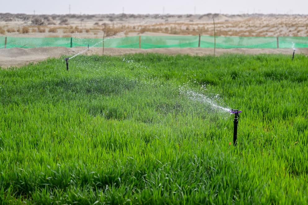 
首都医科大学附宣武医院黄牛代挂号电话票贩子号贩子网上预约挂号,住院检查加快,新疆粮食单产蝉联全国第一