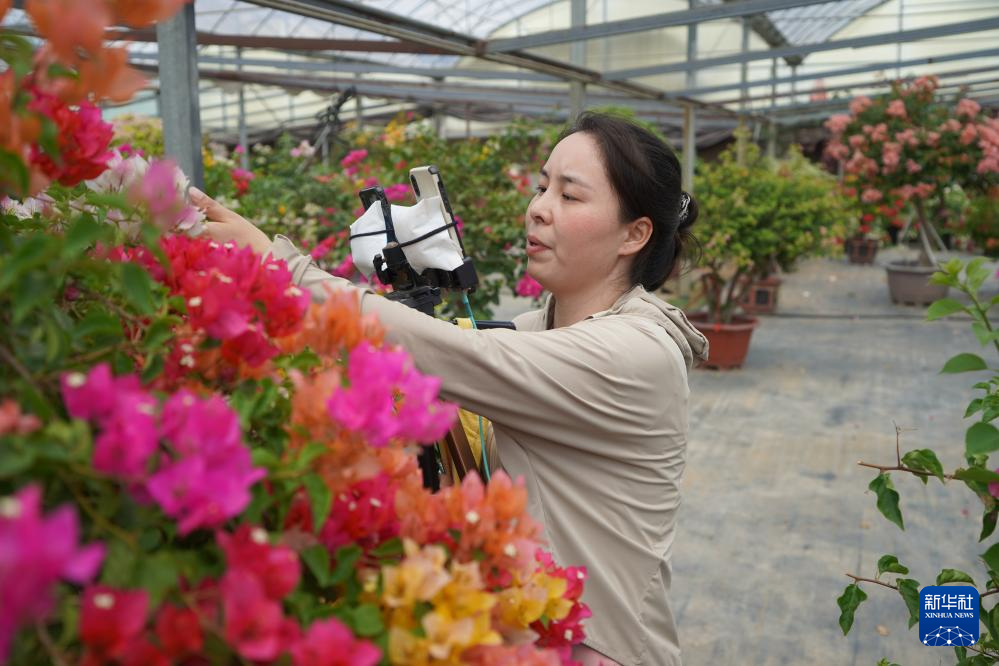 
北京人民医院黄牛代挂号电话票贩子号贩子网上预约挂号,住院检查加快,中国经济样本观察·县域样本篇｜这座苏北县城为何吸引30多万年轻人回流返乡？