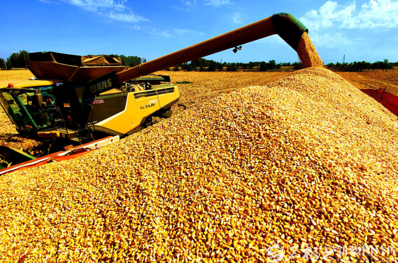 
南京各大医院黄牛代挂号电话票贩子号贩子网上预约挂号,住院检查加快,基础更稳 动能更强 活力更足——2025新疆经济高质量发展观察