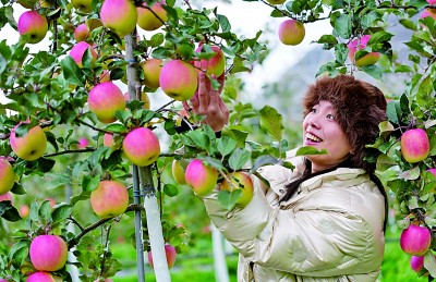 
北京儿童医院黄牛代挂号电话票贩子号贩子网上预约挂号,住院检查加快,咱的日子越过越有奔头——“十四五”时期我国脱贫攻坚成果持续巩固拓展
