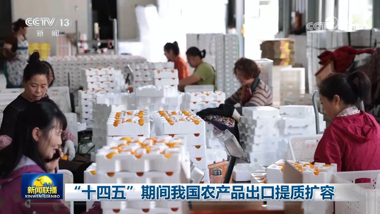 
北医六院黄牛代挂号电话票贩子号贩子网上预约挂号,住院检查加快,“十四五”期间我国农产品出口提质扩容