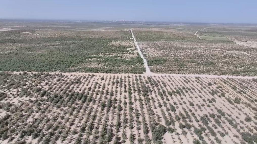 
回龙观医院黄牛代挂号电话票贩子号贩子网上预约挂号,住院检查加快,新华视点｜山河新貌：多地实践探索绿色发展