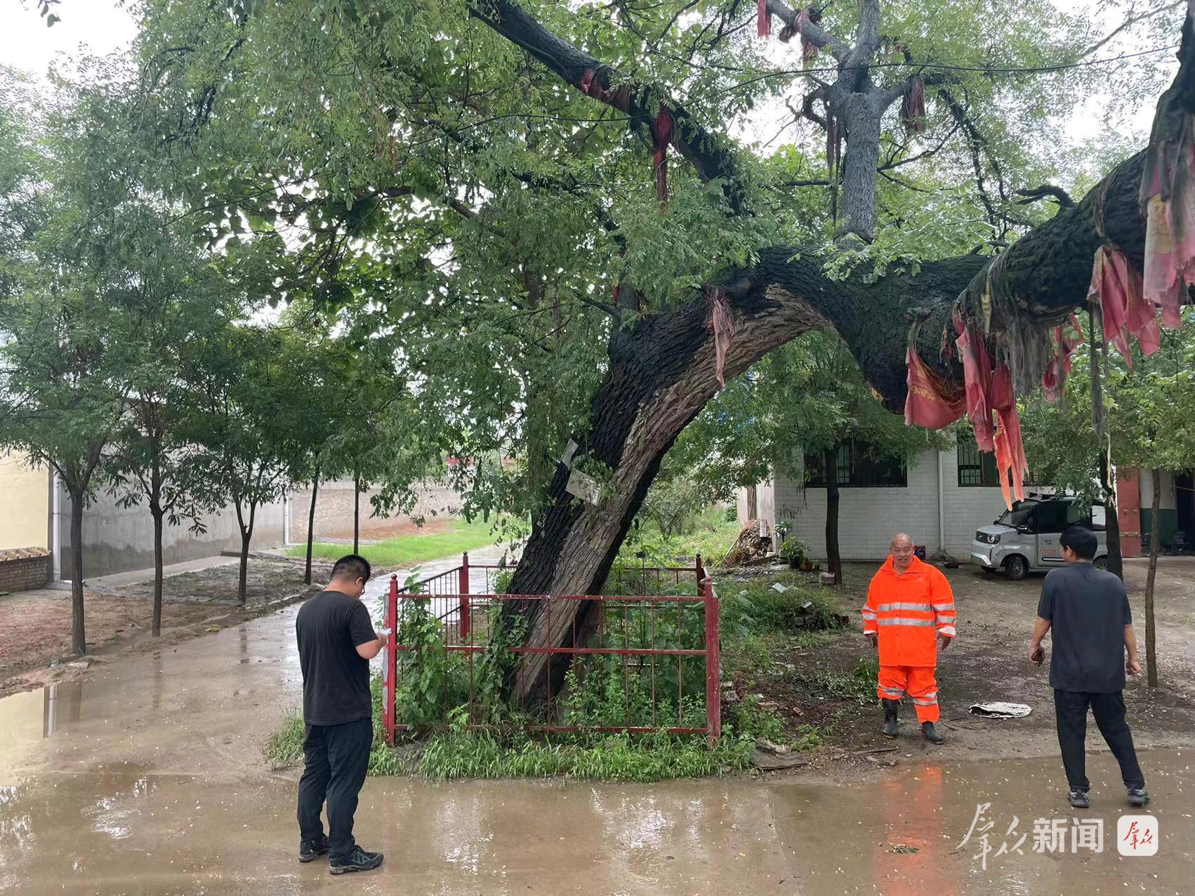 
广州儿童医院黄牛代挂号电话票贩子号贩子网上预约挂号,住院检查加快,富平：守护千年绿意 留存乡愁记忆