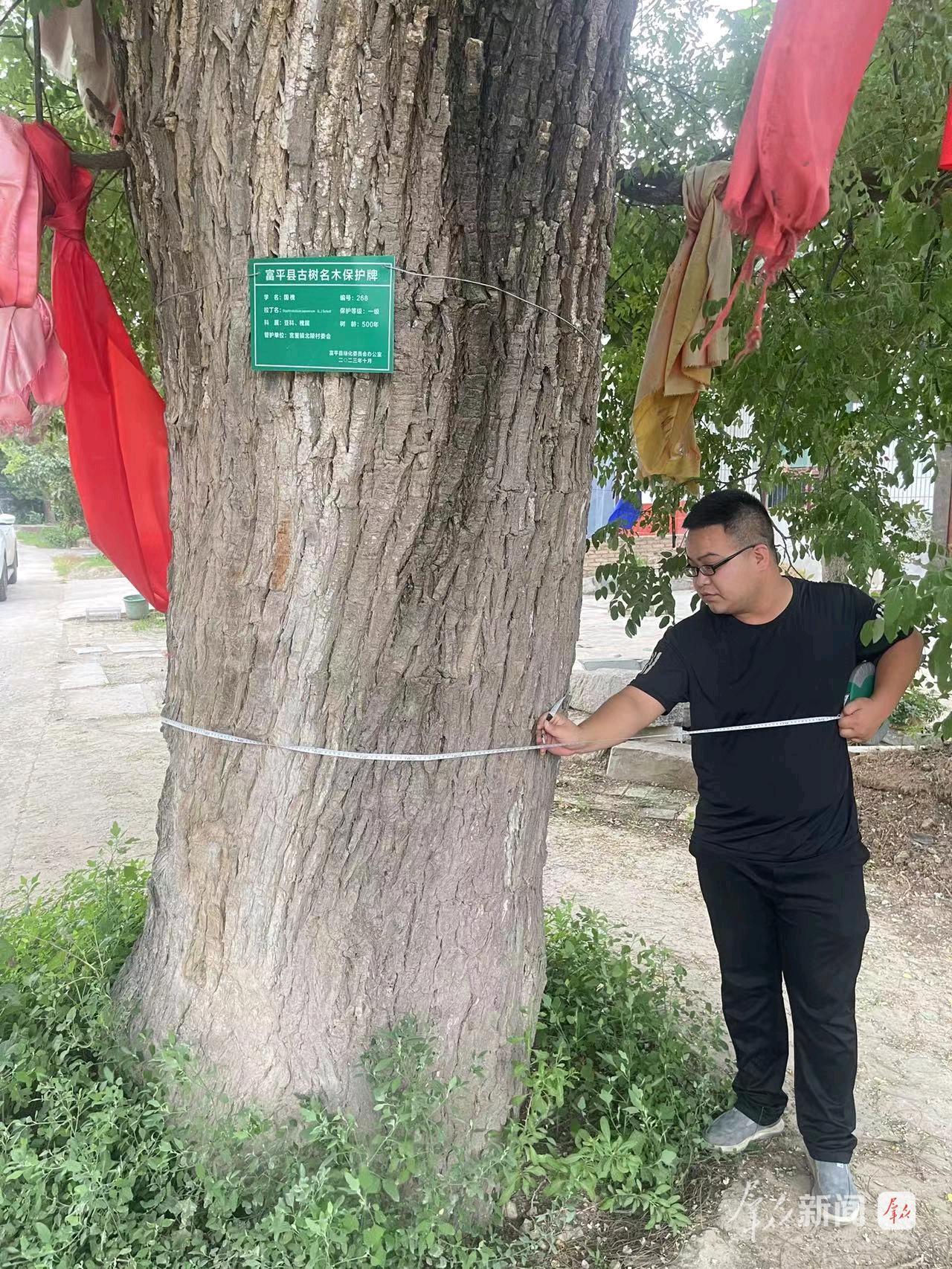 
广州儿童医院黄牛代挂号电话票贩子号贩子网上预约挂号,住院检查加快,富平：守护千年绿意 留存乡愁记忆