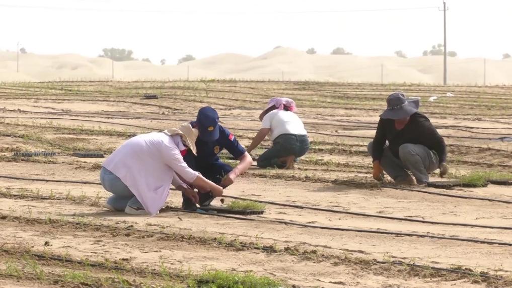 
回龙观医院黄牛代挂号电话票贩子号贩子网上预约挂号,住院检查加快,新华视点｜山河新貌：多地实践探索绿色发展