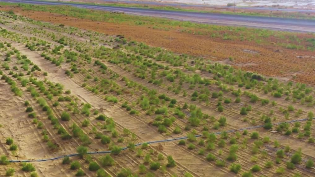 
回龙观医院黄牛代挂号电话票贩子号贩子网上预约挂号,住院检查加快,新华视点｜山河新貌：多地实践探索绿色发展