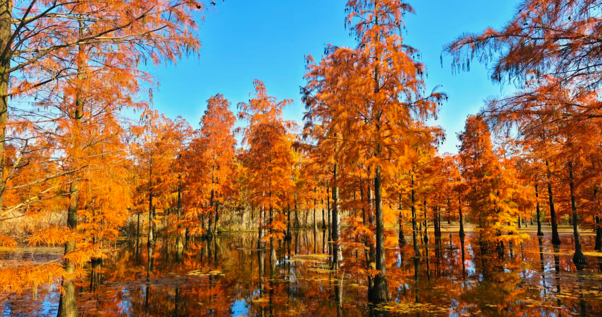 
沈阳各大医院黄牛代挂号电话票贩子号贩子网上预约挂号,住院检查加快,【2025打卡中国】将“安徽故事”融入“世界叙事” 外国博主在皖山皖水间书写文明互鉴新篇