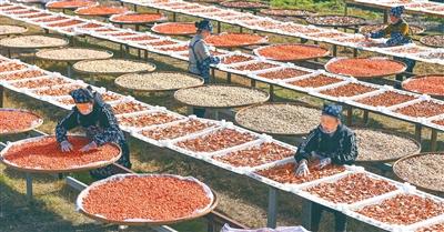 
北京中日友好医院黄牛代挂号电话票贩子号贩子网上预约挂号,住院检查加快,这三个群体，收入分配要“多得”（这些新提法，写入“十五五”规划建议③）