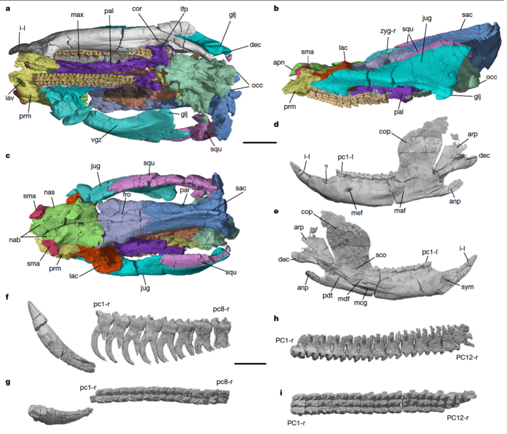 
北京中医院黄牛代挂号电话票贩子号贩子网上预约挂号,住院检查加快,科学与健康|改写生命演化史！2025我国古生物学研究在多领域取得突破